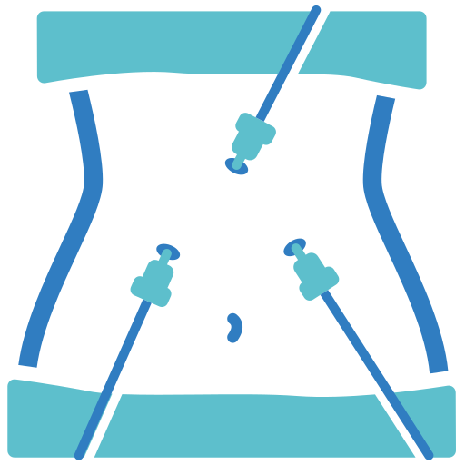 Laparoscopic Instruments