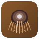 Coir Products