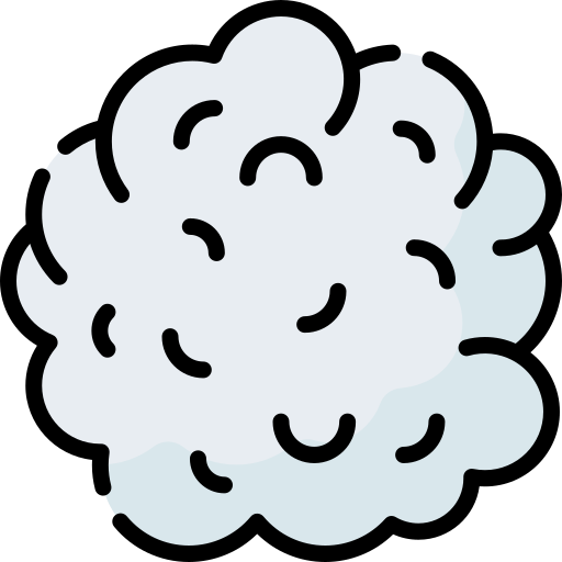 Wool Fabric