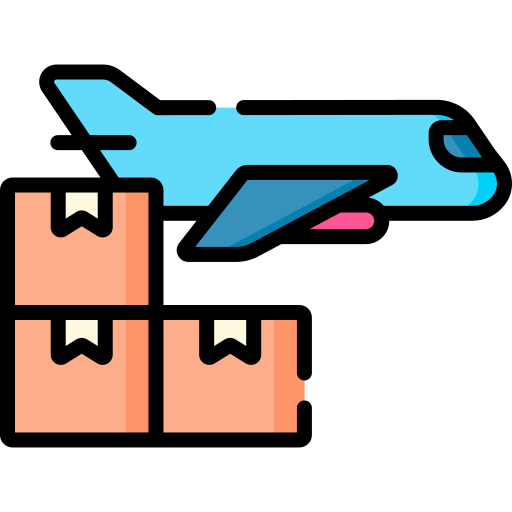 Domestic Air Cargo