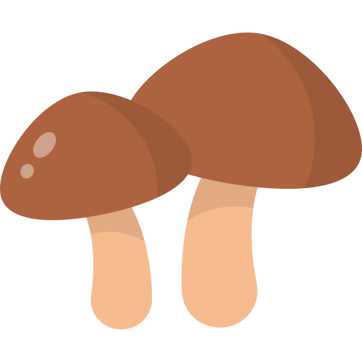 Mushroom & Truffle