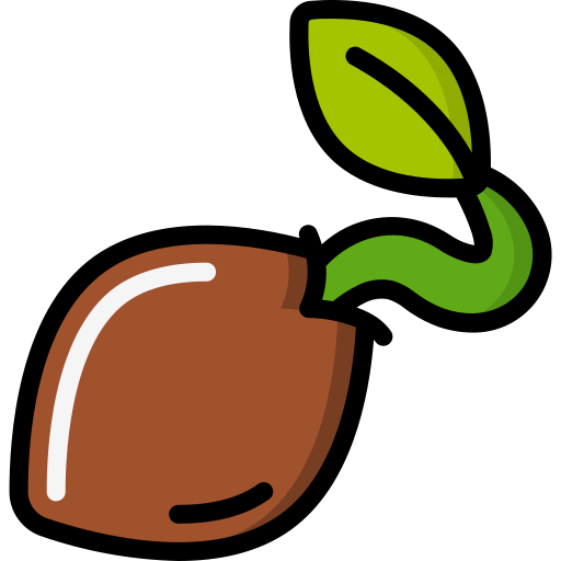 Plant Seeds