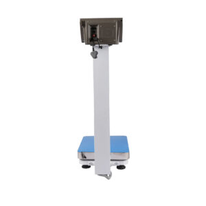 Adult Scale by Point Digi Scales