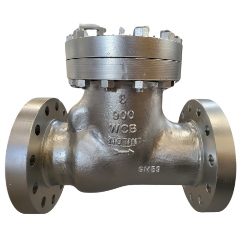 Check Valve