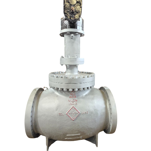 Globe Valve