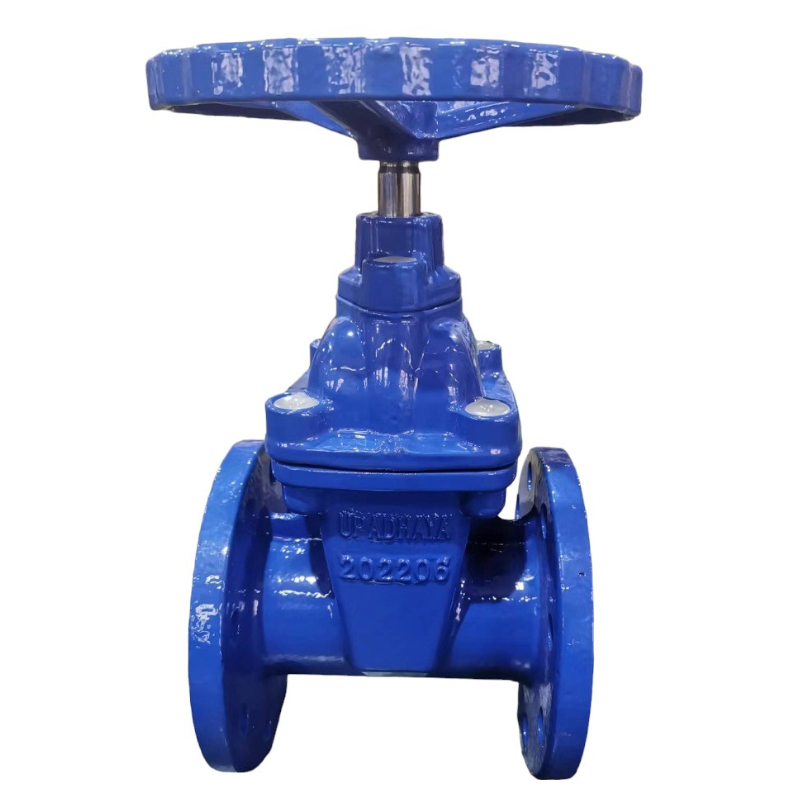 Resilient Seated Gate Valve